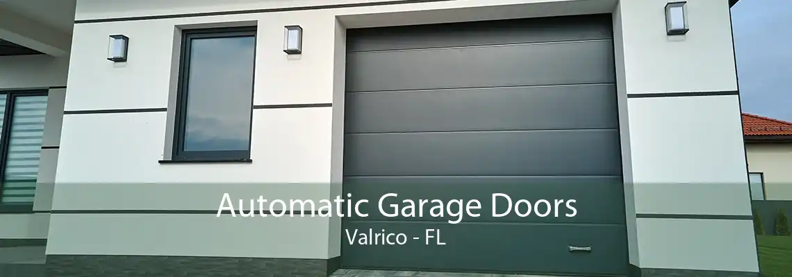 Automatic Garage Doors Valrico - FL