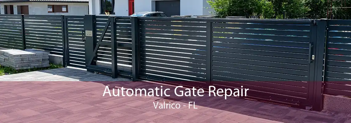 Automatic Gate Repair Valrico - FL