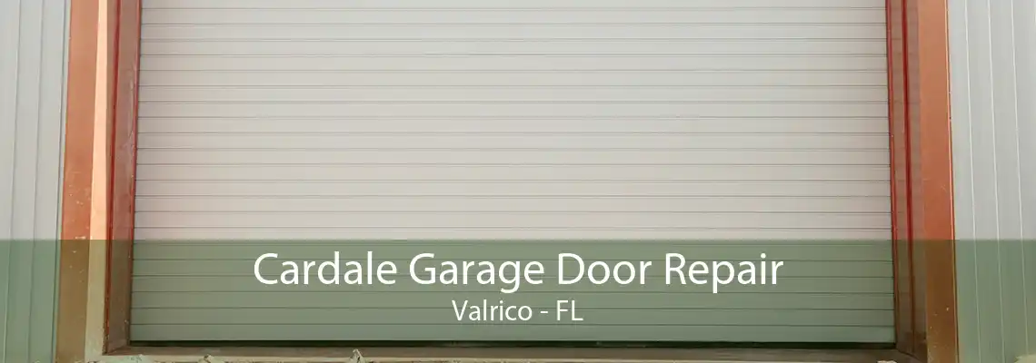 Cardale Garage Door Repair Valrico - FL