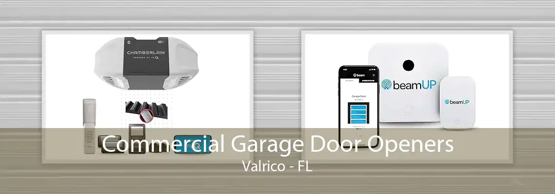 Commercial Garage Door Openers Valrico - FL