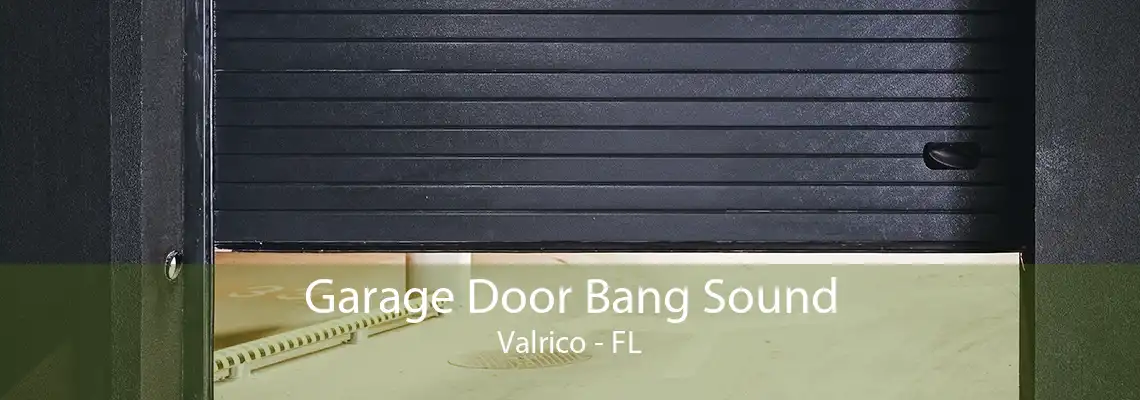 Garage Door Bang Sound Valrico - FL