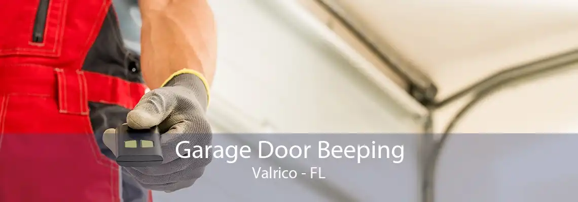 Garage Door Beeping Valrico - FL