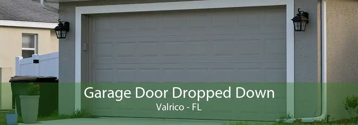 Garage Door Dropped Down Valrico - FL