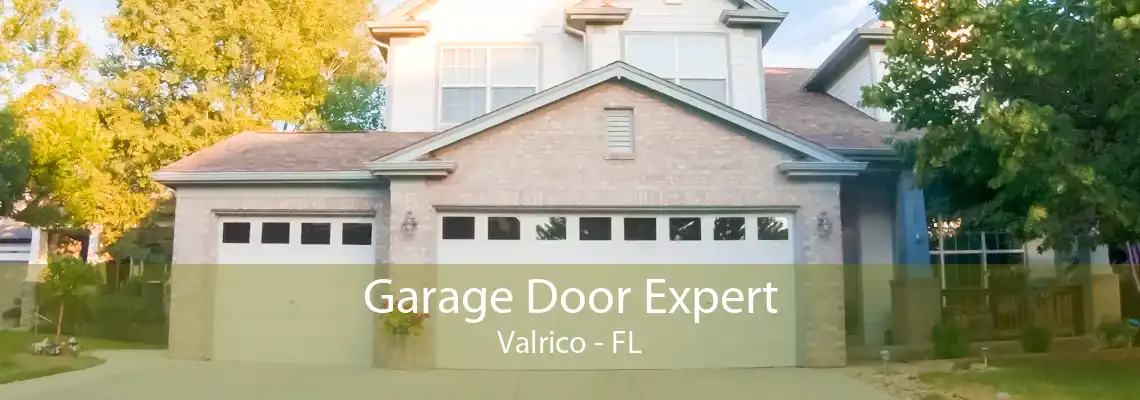 Garage Door Expert Valrico - FL