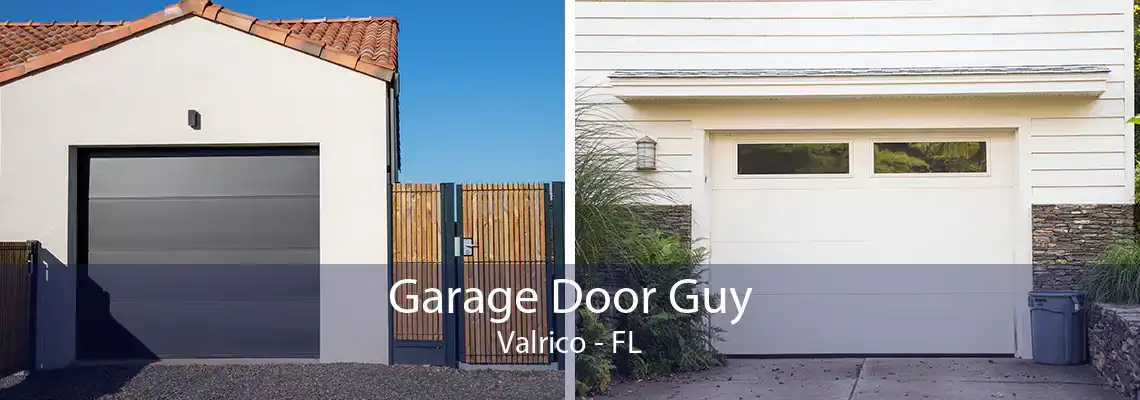 Garage Door Guy Valrico - FL