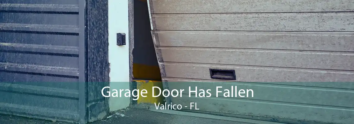 Garage Door Has Fallen Valrico - FL