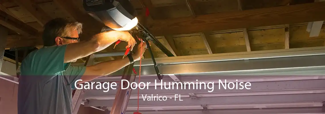 Garage Door Humming Noise Valrico - FL