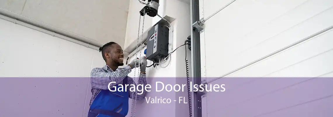 Garage Door Issues Valrico - FL