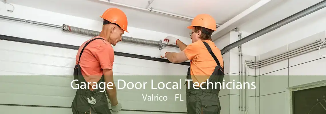 Garage Door Local Technicians Valrico - FL