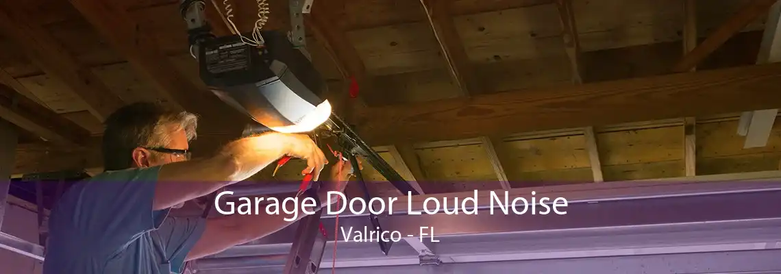 Garage Door Loud Noise Valrico - FL