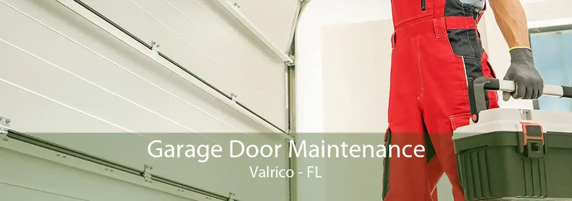 Garage Door Maintenance Valrico - FL