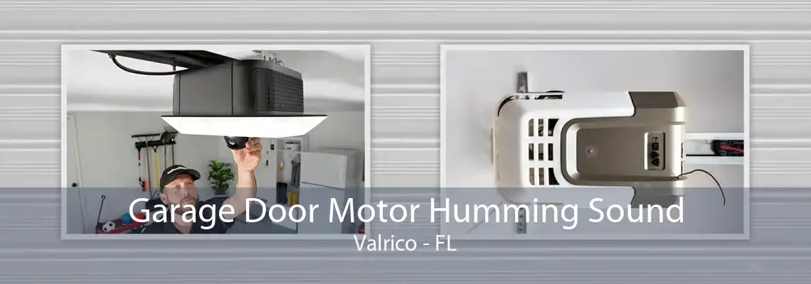 Garage Door Motor Humming Sound Valrico - FL