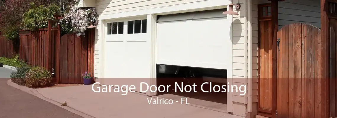 Garage Door Not Closing Valrico - FL