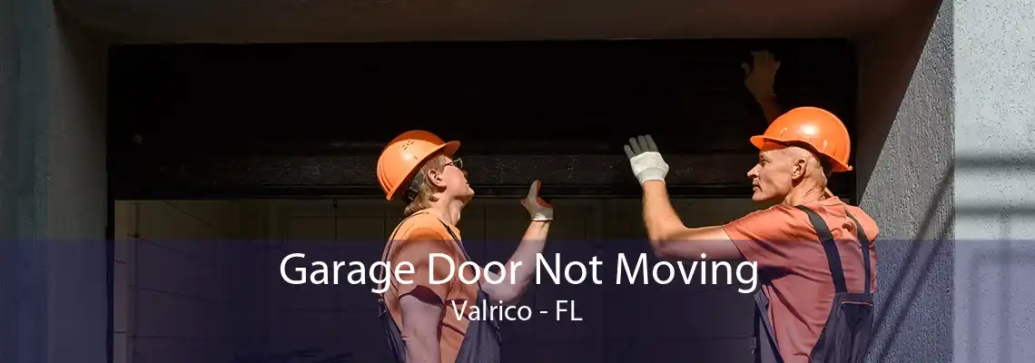 Garage Door Not Moving Valrico - FL