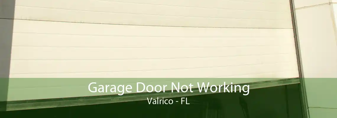 Garage Door Not Working Valrico - FL