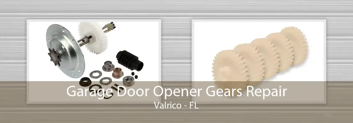 Garage Door Opener Gears Repair Valrico - FL