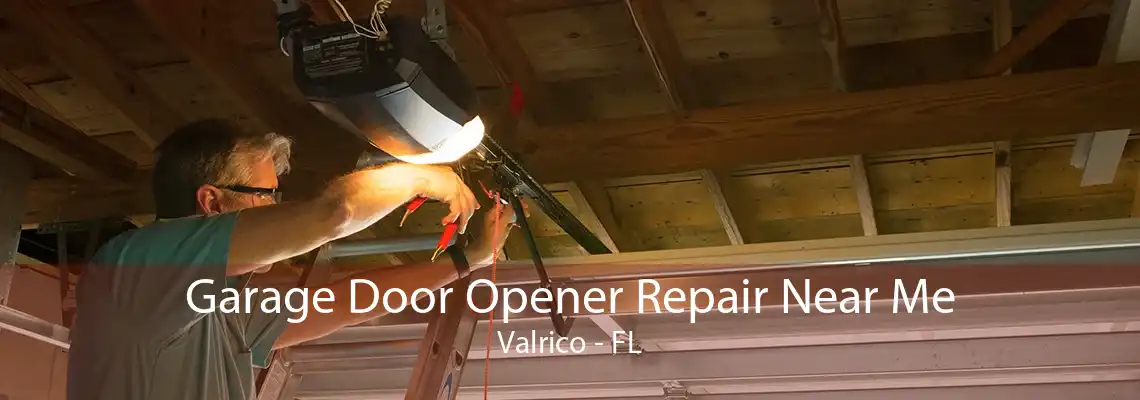 Garage Door Opener Repair Near Me Valrico - FL