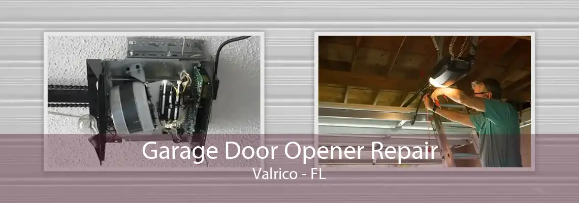 Garage Door Opener Repair Valrico - FL