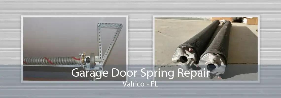 Garage Door Spring Repair Valrico - FL