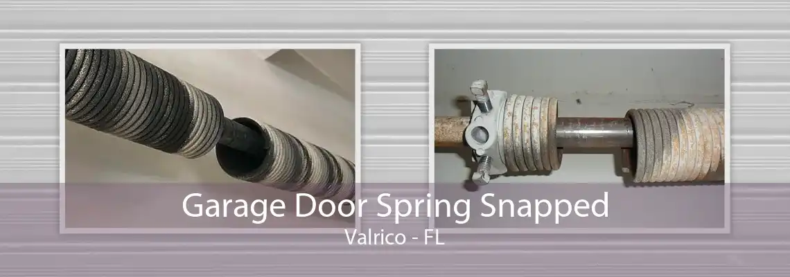 Garage Door Spring Snapped Valrico - FL