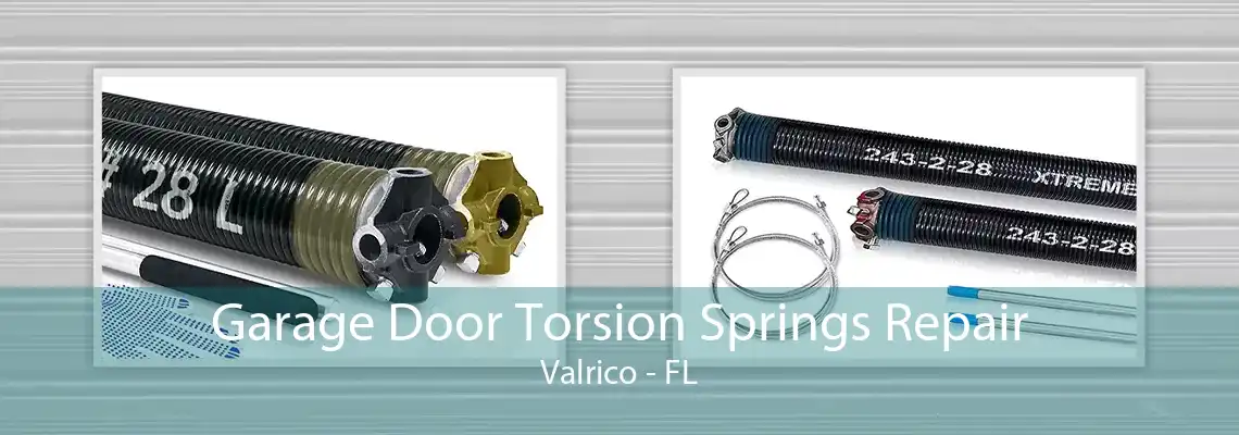 Garage Door Torsion Springs Repair Valrico - FL