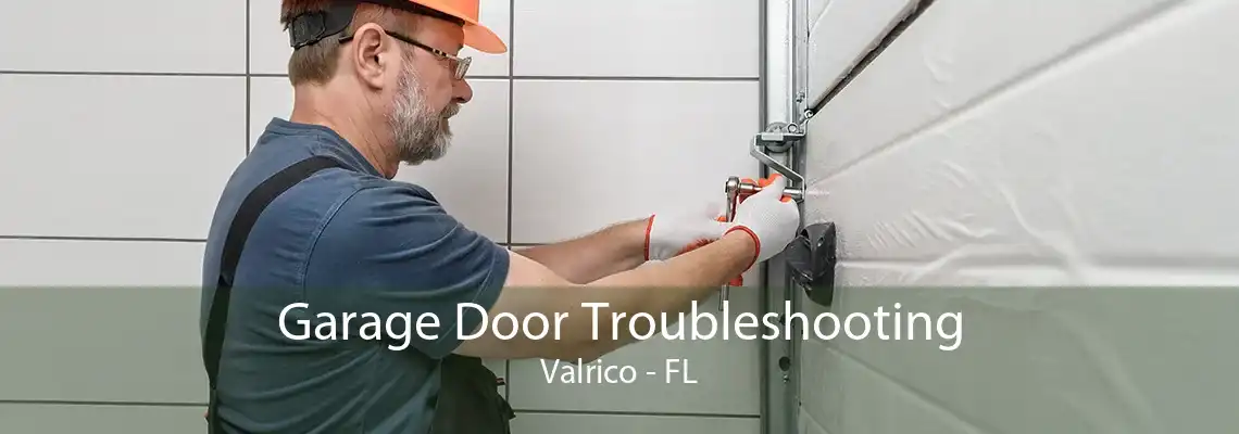 Garage Door Troubleshooting Valrico - FL