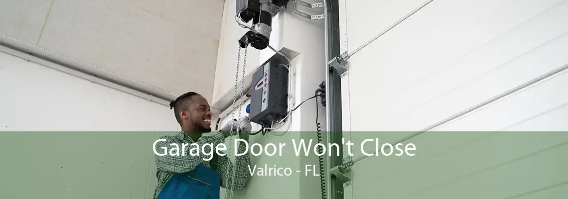 Garage Door Won't Close Valrico - FL