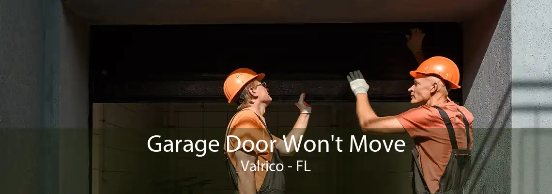 Garage Door Won't Move Valrico - FL