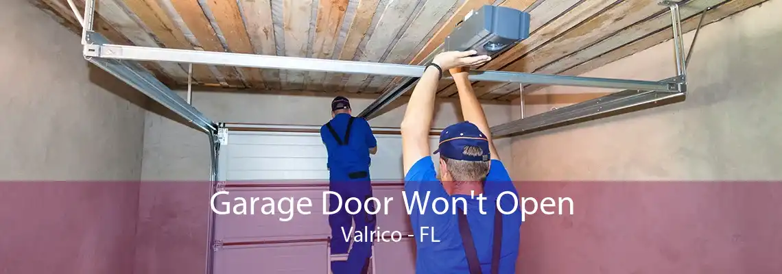 Garage Door Won't Open Valrico - FL