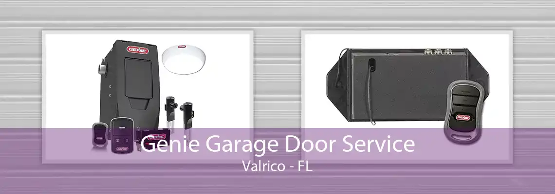 Genie Garage Door Service Valrico - FL