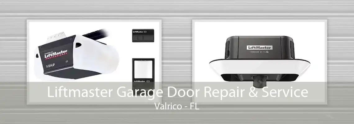 Liftmaster Garage Door Repair & Service Valrico - FL