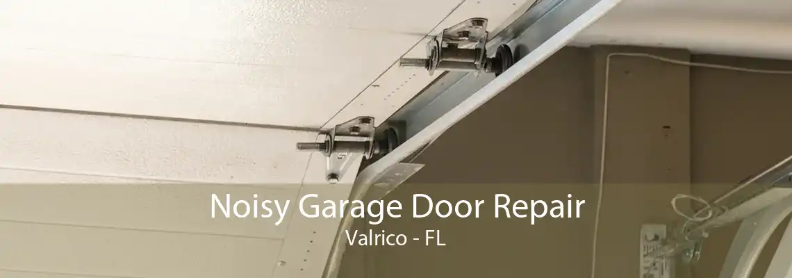 Noisy Garage Door Repair Valrico - FL