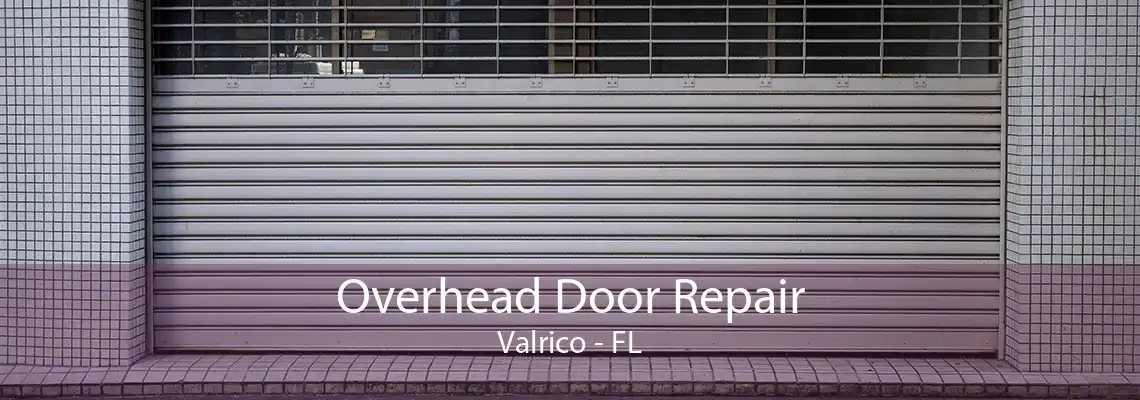 Overhead Door Repair Valrico - FL