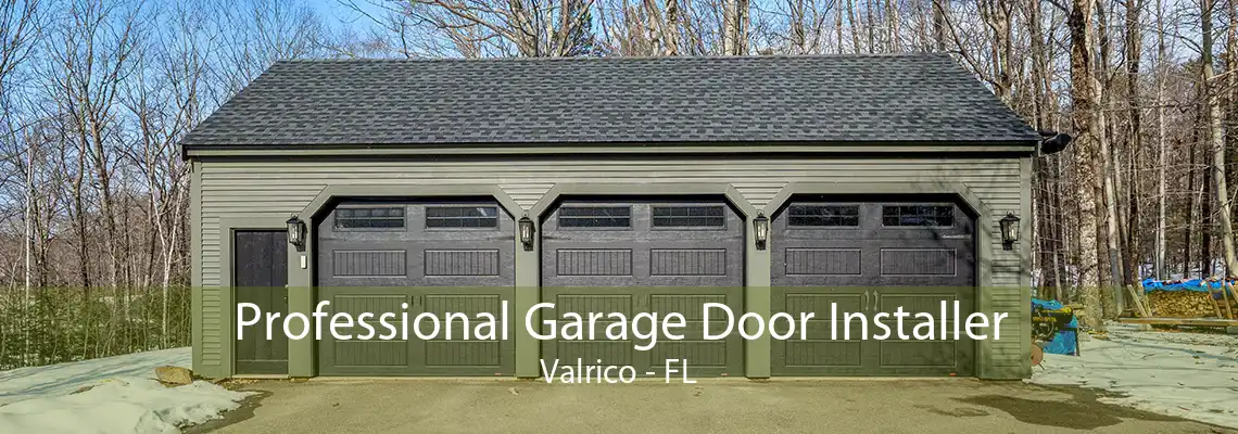 Professional Garage Door Installer Valrico - FL