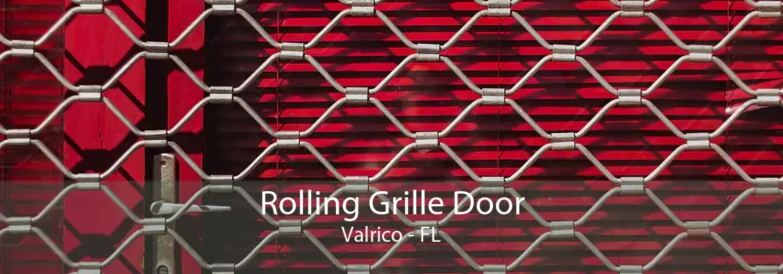 Rolling Grille Door Valrico - FL